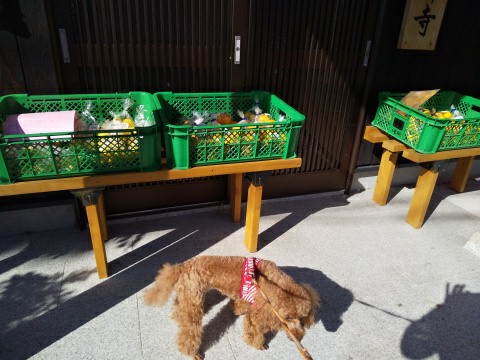 f:id:ononprg:20191128184802j:image