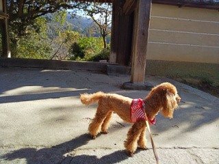 f:id:ononprg:20191129203150j:image