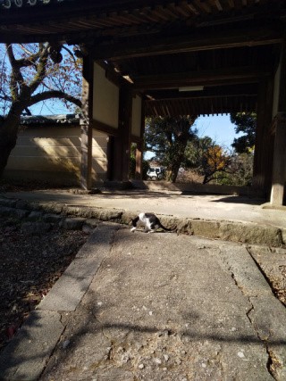 f:id:ononprg:20191129204535j:image