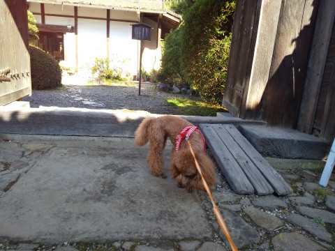 f:id:ononprg:20191129205508j:image