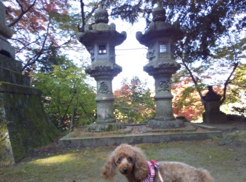 f:id:ononprg:20191130161541j:image