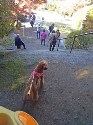 f:id:ononprg:20191130161622j:image