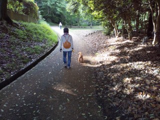 f:id:ononprg:20200519203506j:image