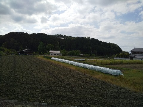 f:id:ononprg:20200519220740j:image