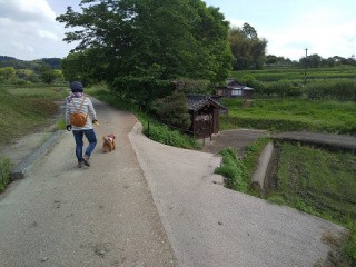 f:id:ononprg:20200519220753j:image