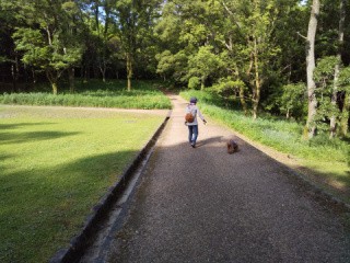 f:id:ononprg:20200521123908j:image