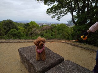 f:id:ononprg:20200521123956j:image