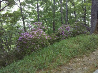 f:id:ononprg:20200521124229j:image