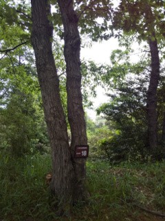 f:id:ononprg:20200521124256j:image