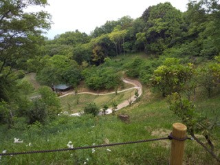 f:id:ononprg:20200521144834j:image