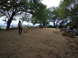 f:id:ononprg:20200521210934j:image