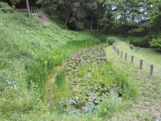 f:id:ononprg:20200521211012j:image