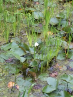 f:id:ononprg:20200521211025j:image