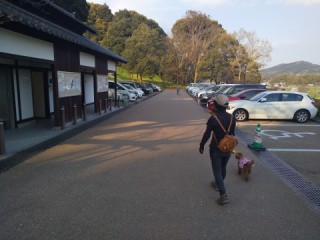 f:id:ononprg:20200521211823j:image