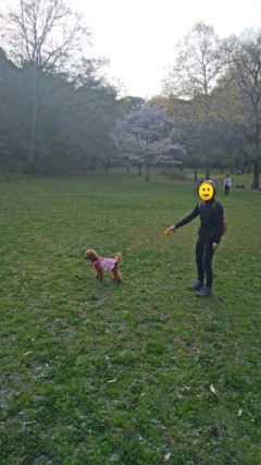 f:id:ononprg:20200521211949j:image