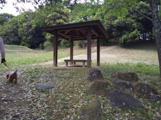 f:id:ononprg:20200522222243j:image