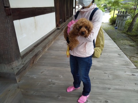 f:id:ononprg:20200525205848j:image