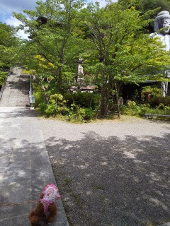 f:id:ononprg:20200525233728j:image