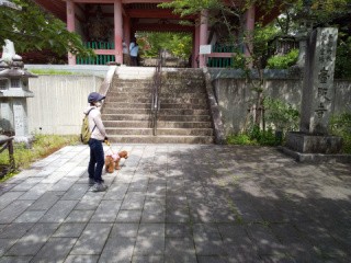 f:id:ononprg:20200525233751j:image