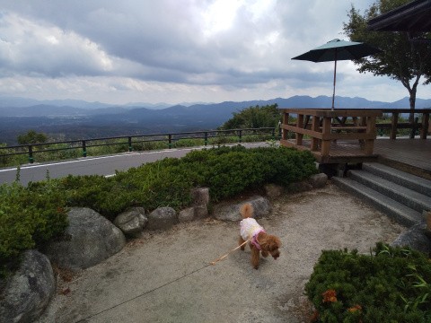 f:id:ononprg:20201005225817j:image