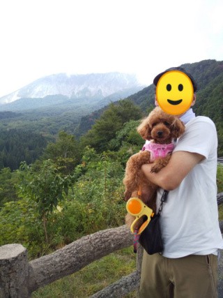 f:id:ononprg:20201005234551j:image