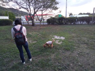 f:id:ononprg:20201007001452j:image