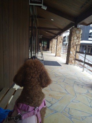 f:id:ononprg:20201007001619j:image