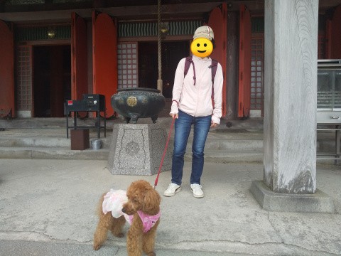 f:id:ononprg:20201007001750j:image