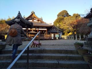 f:id:ononprg:20201116232011j:image