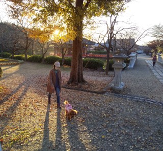 f:id:ononprg:20201117090910j:image