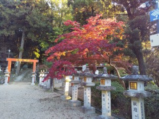 f:id:ononprg:20201117172602j:image