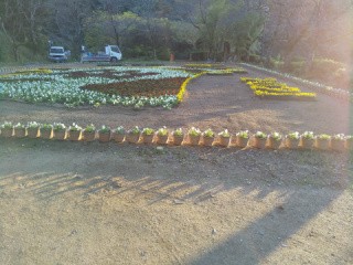 f:id:ononprg:20201117172617j:image