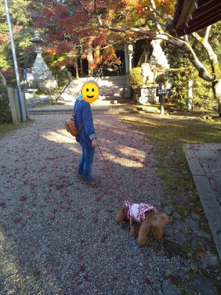 f:id:ononprg:20201117202403j:image
