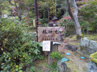 f:id:ononprg:20201117202446j:image