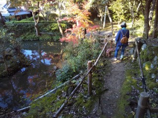 f:id:ononprg:20201117202502j:image