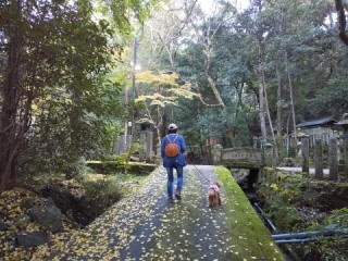 f:id:ononprg:20201117202527j:image