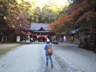 f:id:ononprg:20201117202600j:image