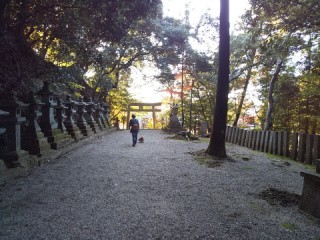 f:id:ononprg:20201117202747j:image