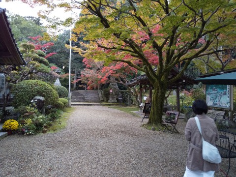 f:id:ononprg:20201117204731j:image