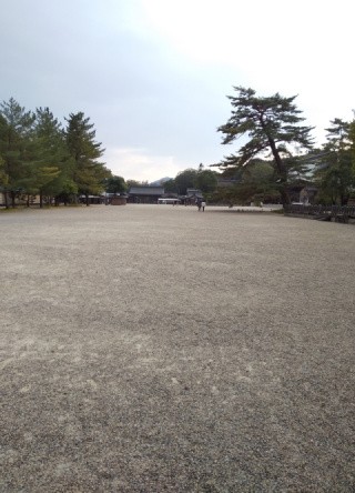f:id:ononprg:20201216211305j:image