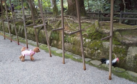f:id:ononprg:20201216215715j:image