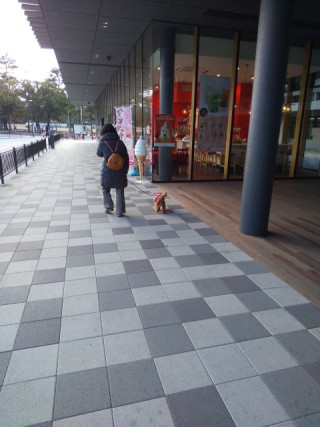 f:id:ononprg:20210118230053j:image