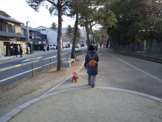 f:id:ononprg:20210119002714j:image