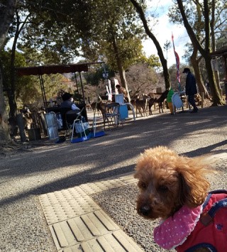 f:id:ononprg:20210121214759j:image