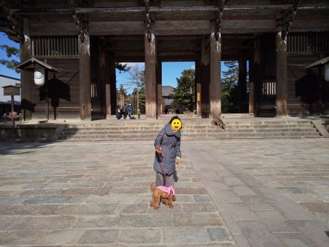 f:id:ononprg:20210121214906j:image