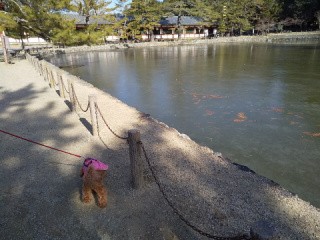 f:id:ononprg:20210121215005j:image