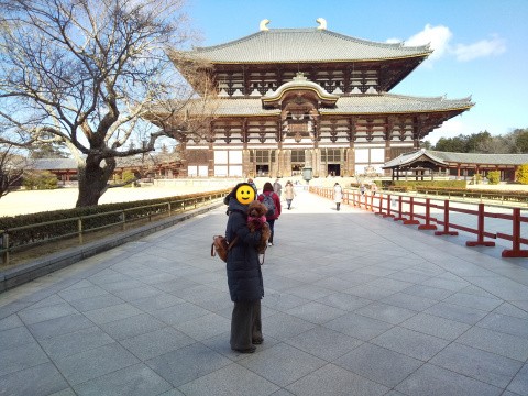 f:id:ononprg:20210121215324j:image