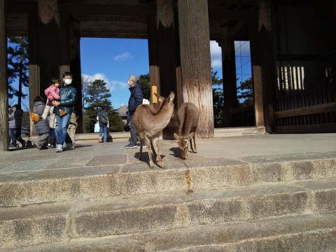 f:id:ononprg:20210122223804j:image
