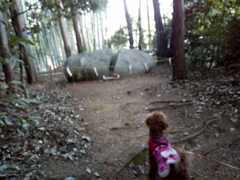 f:id:ononprg:20210213072925j:image