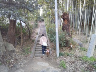 f:id:ononprg:20210217194324j:image